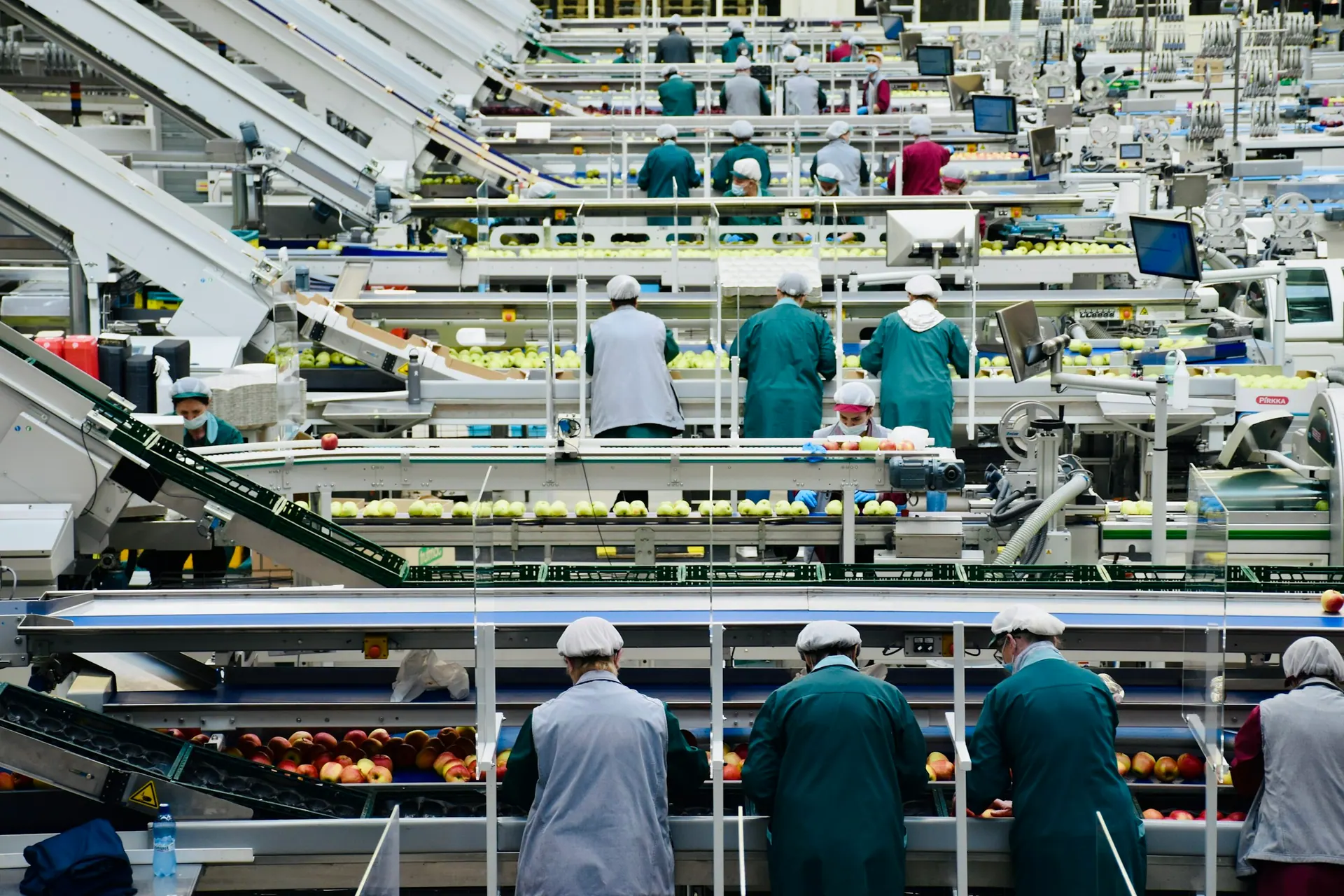 Workers along a food production line (illustrative)