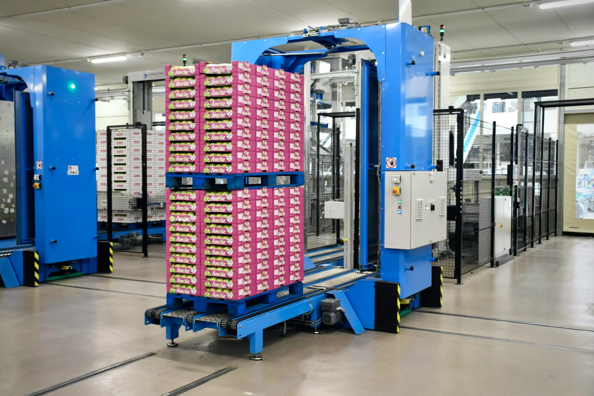 Automated case packing and palletising (illustrative)
